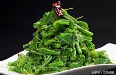 ​云龙菜--你想不到的山野菜之王的营养价值