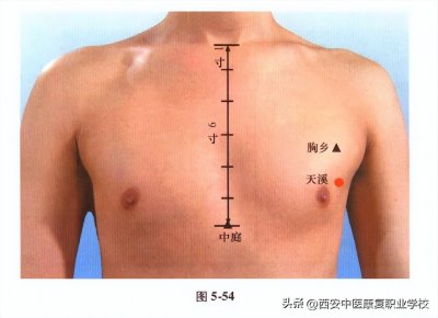 ​足太阴脾经经穴——天溪穴