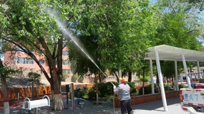 ​积极防治榆绿毛萤叶甲，保护园林绿化美化成果