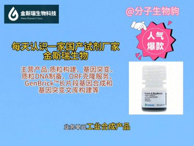 ​每天认识一家国产试剂厂家-金斯瑞生物