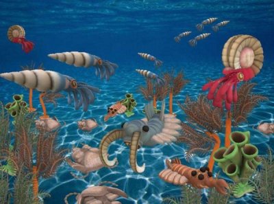 ​地球的古生代