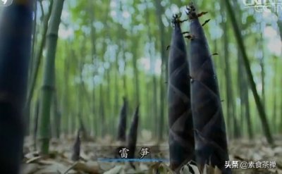 ​雷笋，在雷声中破土而出的“江南第一笋”，甘甜爽脆