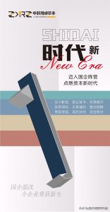 ​民营企业进行国企混改后的影响