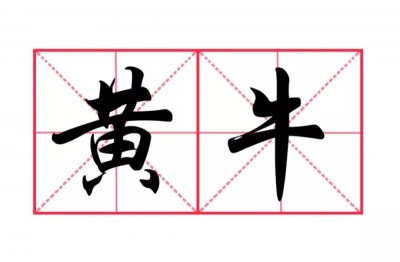 ​票贩子为什么叫“黄牛”