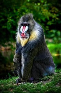 ​世界上到底有没有鬼？