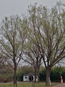 ​可杀不可辱的李贽