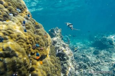 ​关于科摩罗的 27 个有趣的事实