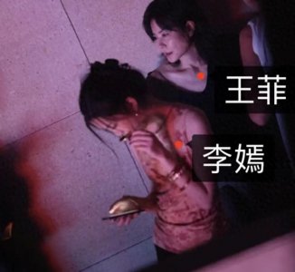 ​王菲女儿李嫣做第4次“兔唇”修复：照片公开大变样，美得很高级