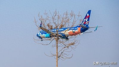 ​孟子义：从一年级争议到成长的蜕变