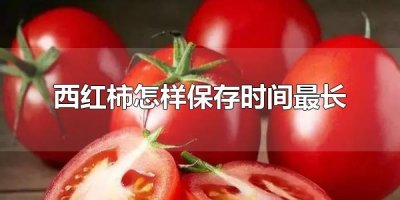 ​西红柿怎样保存时间最长 西红柿可以保存多久