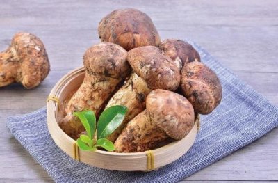 ​松茸干片的吃法