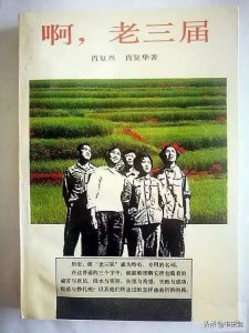 ​老三届是指哪三届（知青老三届指哪三届的经历）