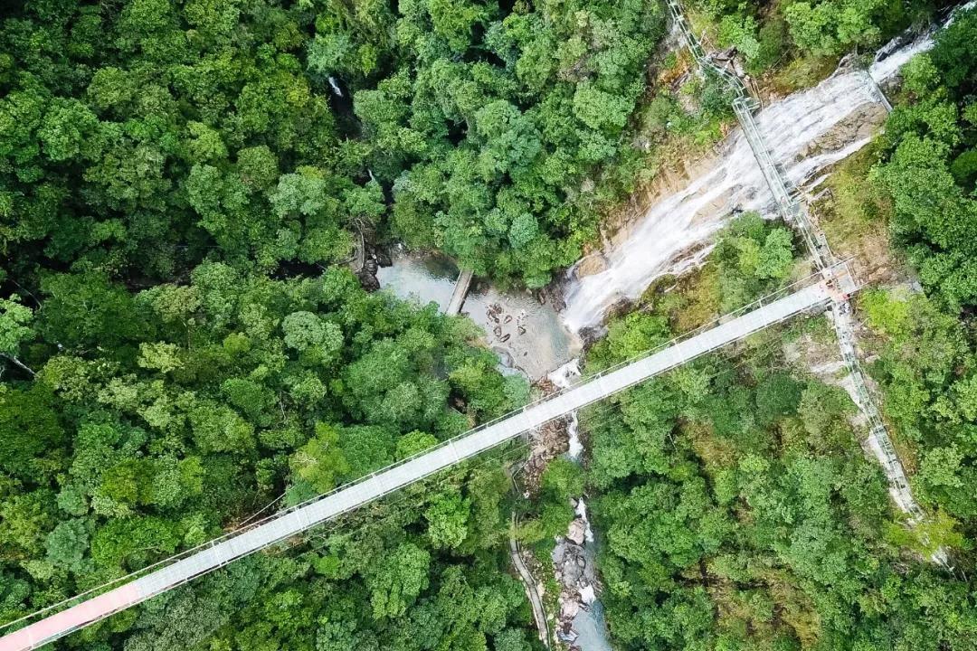喜报！郴州首座玻璃桥建成，就在汝城九龙江国家森林公园