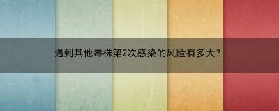 ​遇到其他毒株第2次感染的风险有多大？
