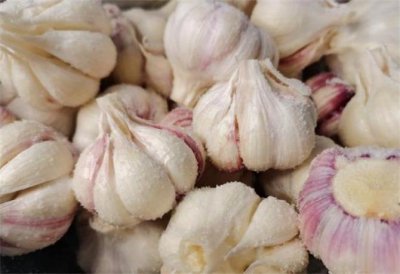 ​腌大蒜的家常方法，用最简单的方法腌制，我们都喜欢吃原味的咸蒜