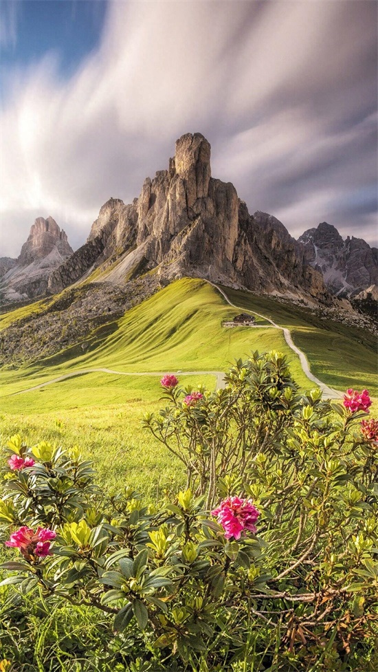 高清1080P壁纸丨无水印壁纸丨苹果壁纸IOS丨安卓壁纸Android