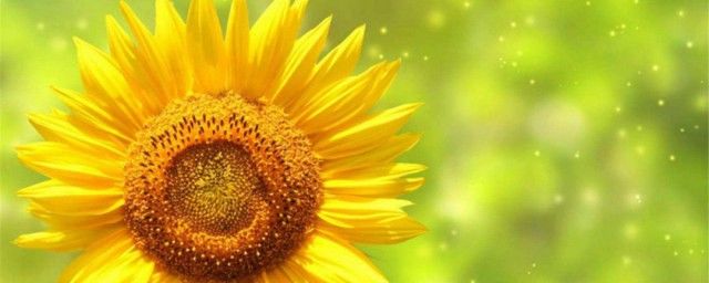 又什么又什么的词语 一年级的填空词语