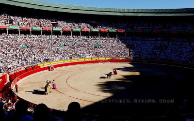 ​西班牙奔牛节中断两年后回归