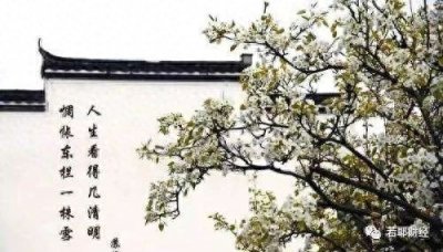 ​人生看得几清明