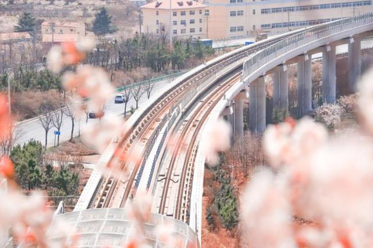 山东城市轨道交通运营线路已达10条济南和青岛各有多少条呢