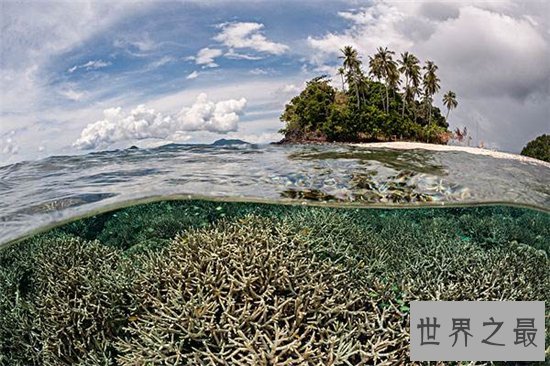 全球十大潜水度假胜地，抖音潜水小姐姐也在这里