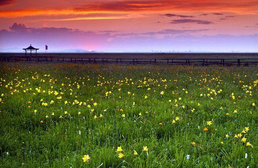 沽源县属于哪个省哪个市(河北沽源县属于哪个市)