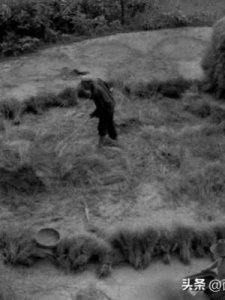 ​西北偏西(西北偏西风是什么意思)