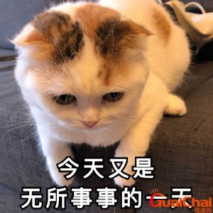 ​无所事事的意思？无所事事是成语吗