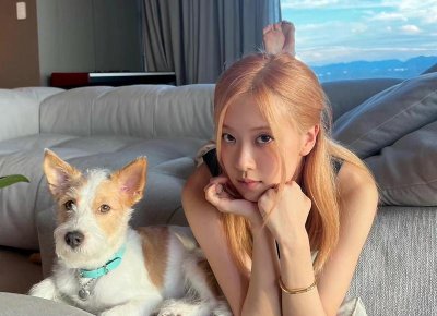 ​工行如何基金定投