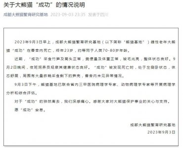 ​深夜通报！大熊猫“成功”在兽舍内死亡