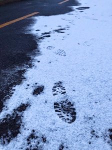 ​雨雪来了！北京延庆怀柔多地出现降雪