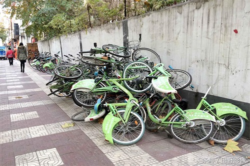 酷骑单车倒闭让员工拆车轮抵工资 街头单车垃圾难处理
