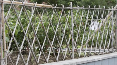 ​四时田园杂兴意思讲解赏析(四年级下册古诗《四时田园杂兴》赏析)