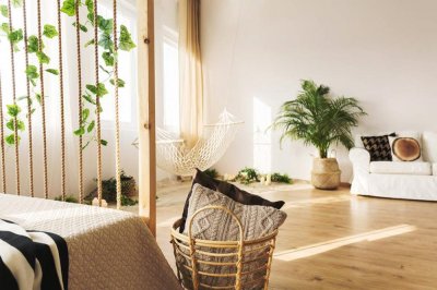 ​水蜜桃的种植与管理