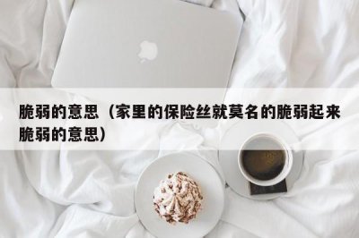 ​脆弱的意思（家里的保险丝就莫名的脆弱起来脆弱的意思）
