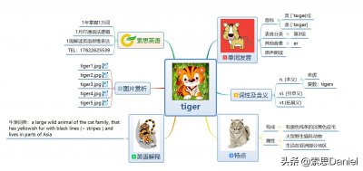 ​索思英语解码单词（第12个）——tiger老虎