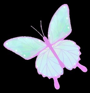 ​漳州花博会攻略：免门票 免预约