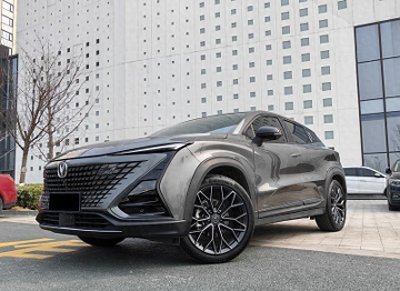 ​跟风买了UNI-T，开了两年车主很后悔，坦言不会再当韭菜