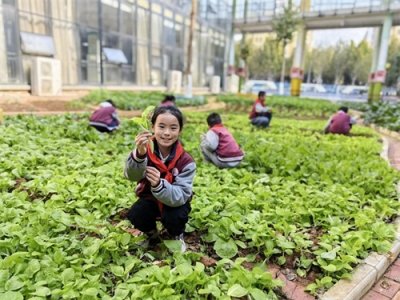 ​豹澥一小：创新“食育”课程 打造大思政新篇章