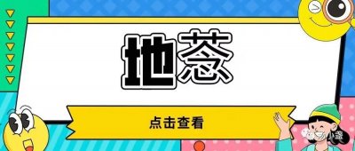 地菍一身都是宝