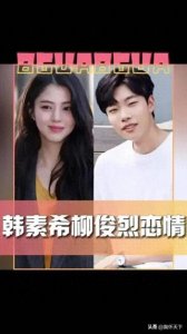 ​“韩柳恋”两周即终结，男方遭批“跳梁小丑”，女方恳求公众宽恕