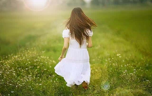 刺猬法则说明了什么（刺猬法则是什么意思）