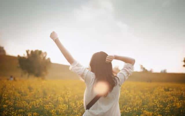 刺猬法则说明了什么（刺猬法则是什么意思）