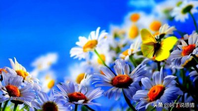 ​亦舒经典语录30句（作家亦舒的经典语录）