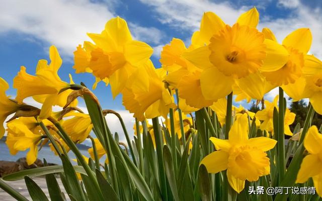 亦舒经典语录30句（作家亦舒的经典语录）(5)