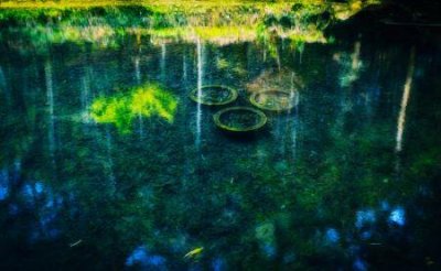 ​南京1路公交车路线图，经过哪些地标景点？