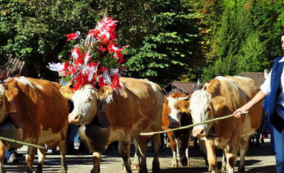 盘王节在什么时候举行,清明节的由来和意义是什么图7