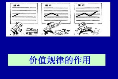 ​什么是价值规律，什么是价格？价值的基本规律？