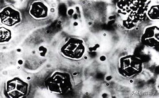 人工合成牛胰岛素获得诺贝尔奖(它是最靠近诺贝尔奖的一次)(8)