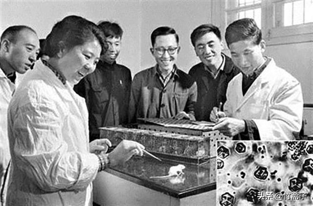 人工合成牛胰岛素获得诺贝尔奖(它是最靠近诺贝尔奖的一次)(7)